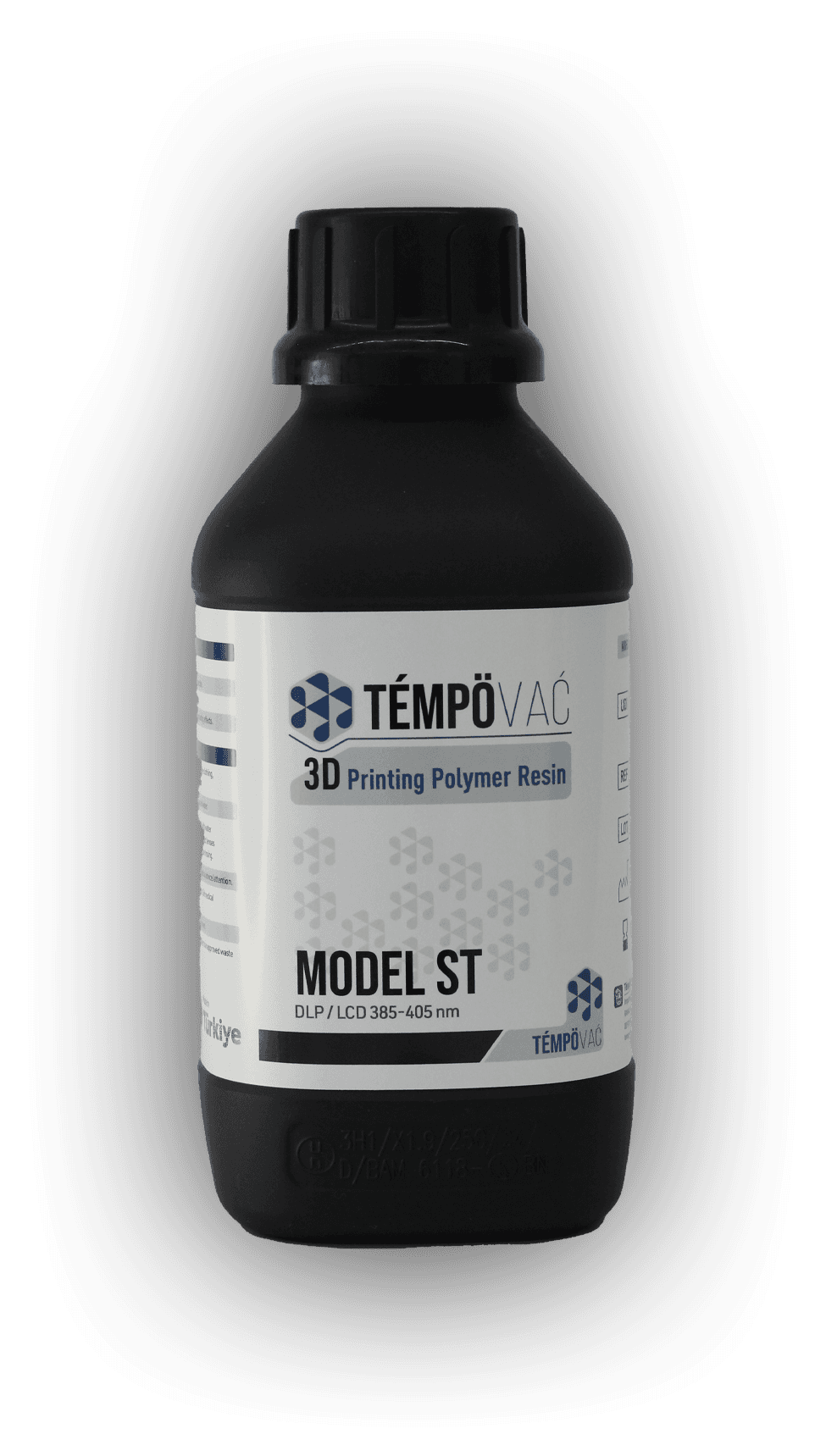 DENTAL MODEL ST